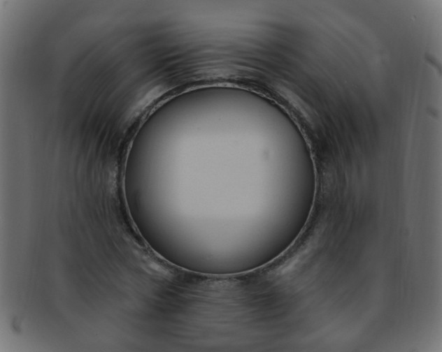 X0000091730778200709071459