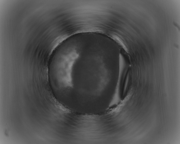 X0000091730781200709071459