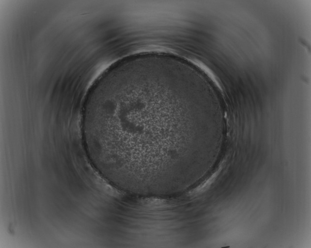 X0000091730783200709071459