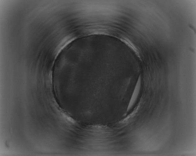 X0000091730790200709071459