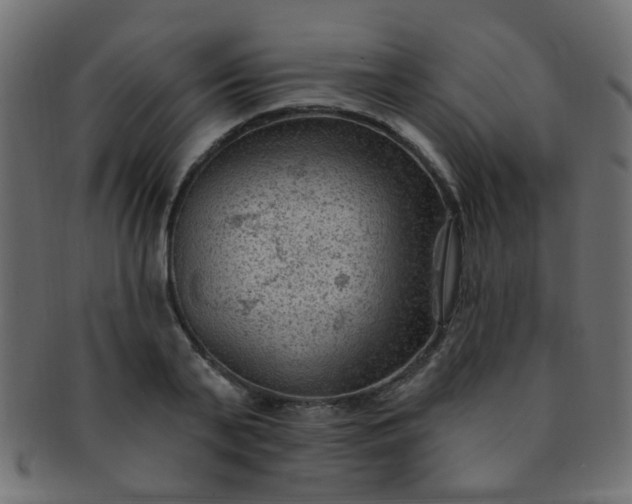 X0000091730791200709071459