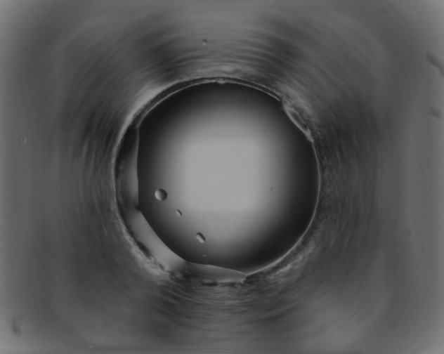 X0000091730792200709071459