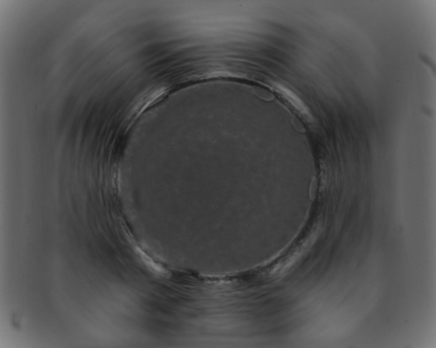 X0000091730793200709071459