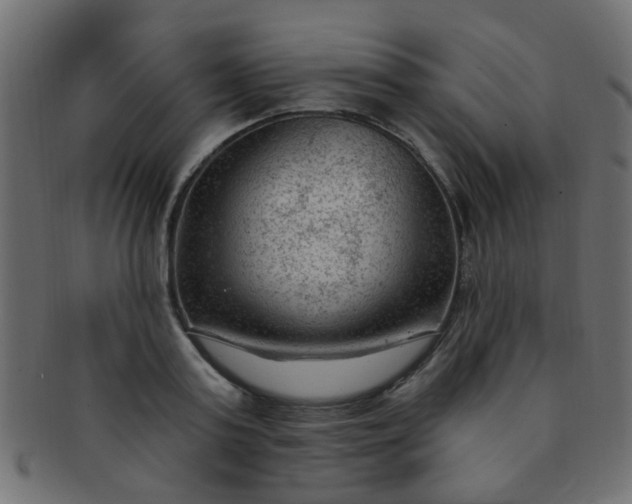 X0000091730795200709071459