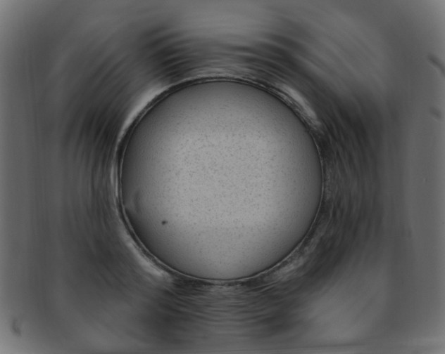 X0000091730796200709071459