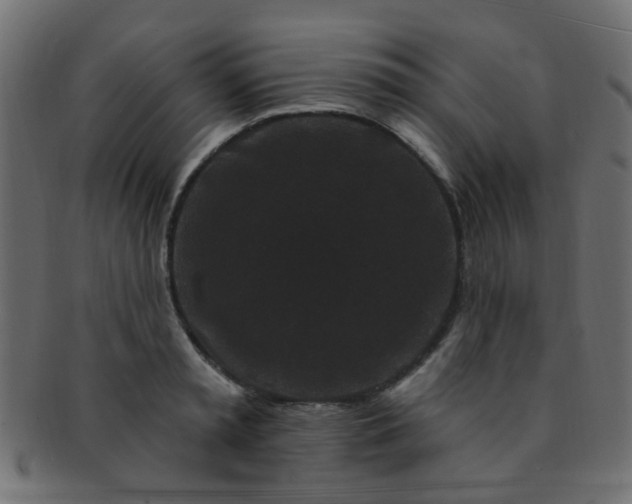 X0000091730797200709071459