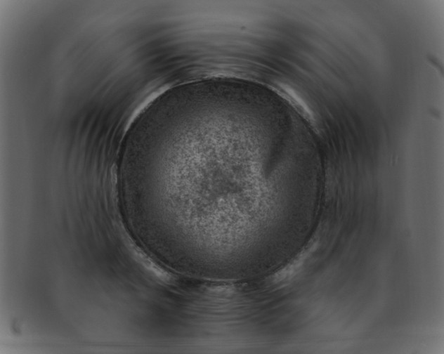 X0000091730798200709071459