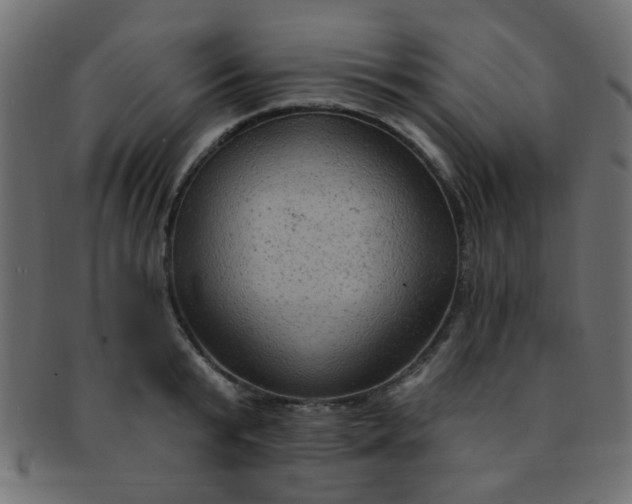 X0000091730799200709071459