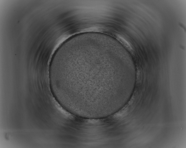 X0000091730800200709071459