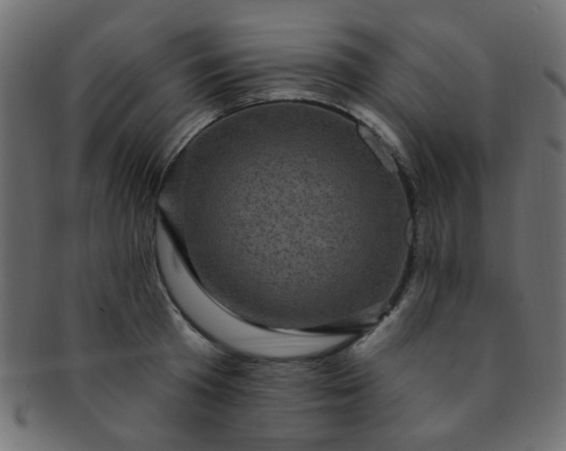 X0000091730801200709071459