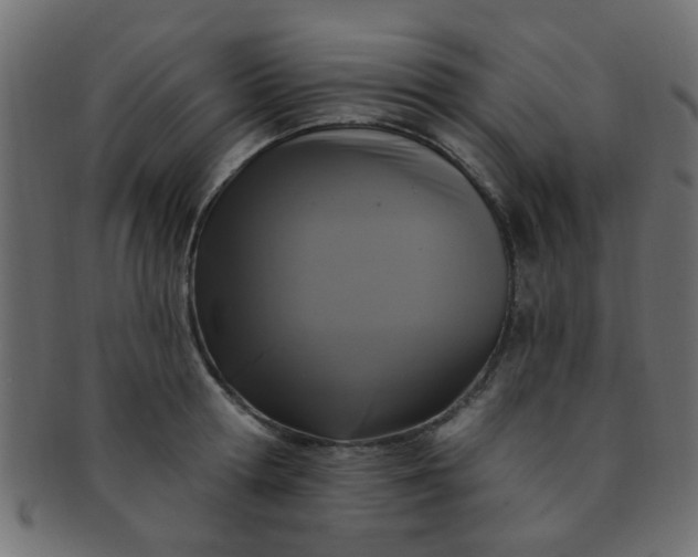 X0000091730802200709071459