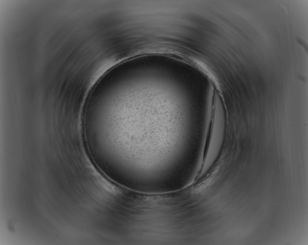 X0000091730803200709071459