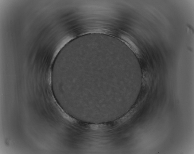 X0000091730804200709071459