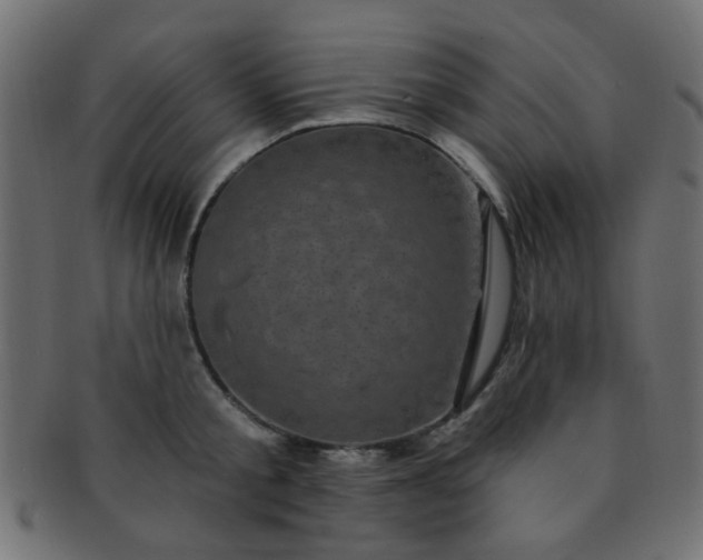 X0000091730805200709071459