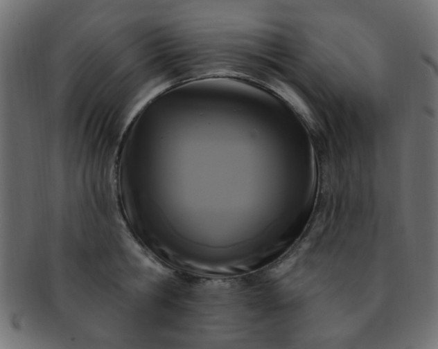 X0000091730806200709071459