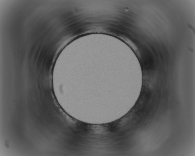 X0000091730807200709071459