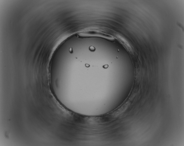 X0000091730808200709071459