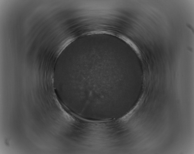 X0000091730809200709071459