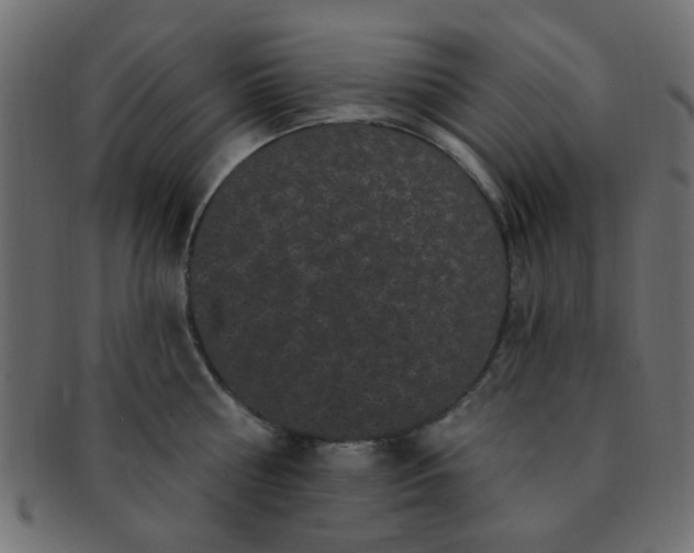 X0000091730810200709071459