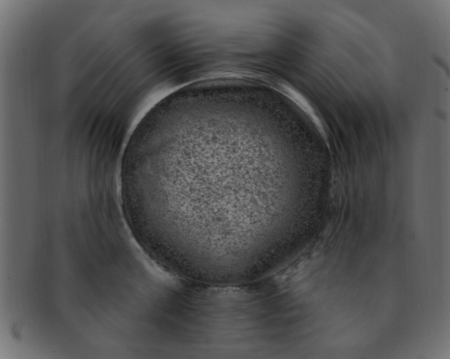 X0000091730811200709071459