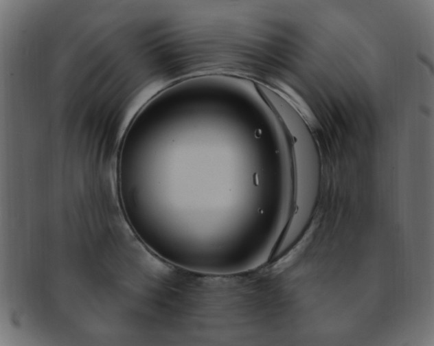 X0000091730812200709071459