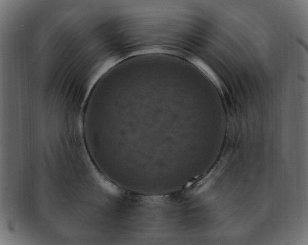 X0000091730813200709071459