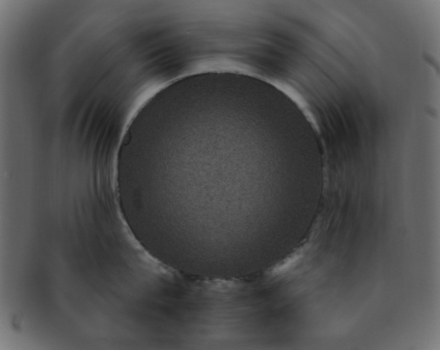 X0000091730815200709071459