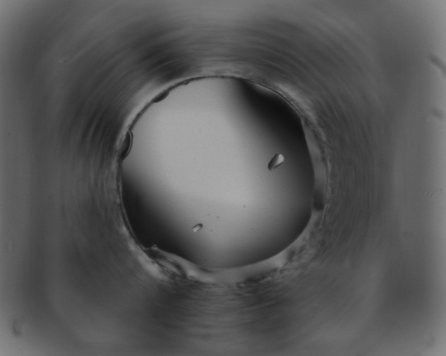 X0000091730816200709071459