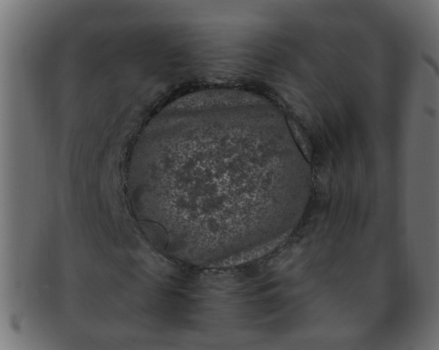 X0000091730817200709071458