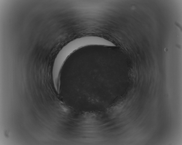 X0000091730818200709071458