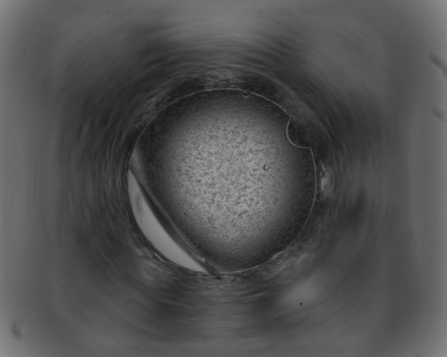 X0000091730819200709071458