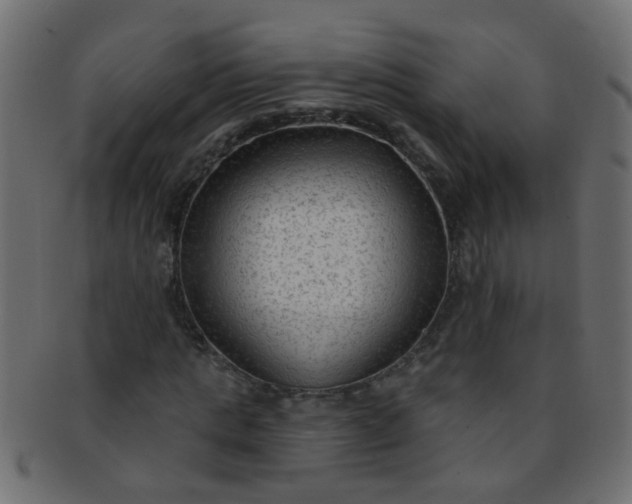 X0000091730821200709071458