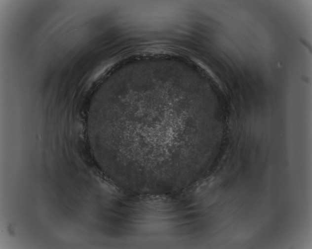 X0000091730823200709071458