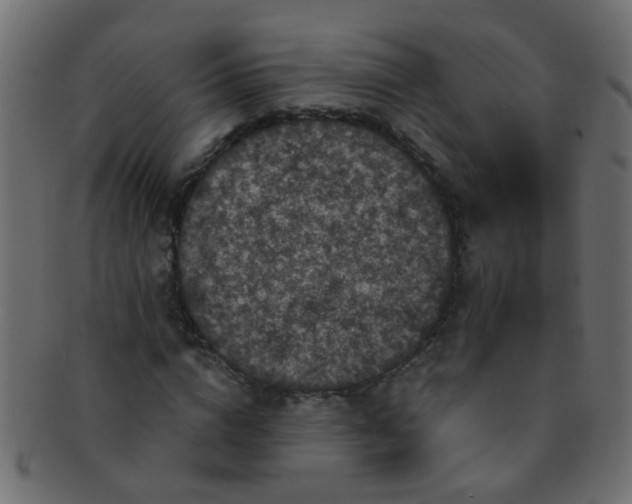 X0000091730824200709071458