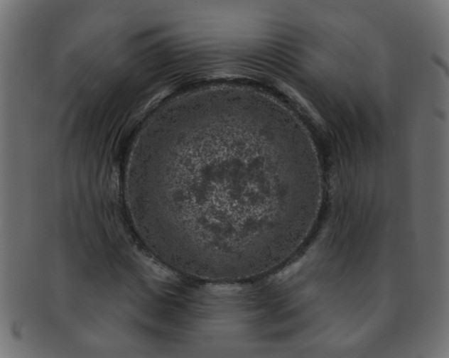 X0000091730825200709071458