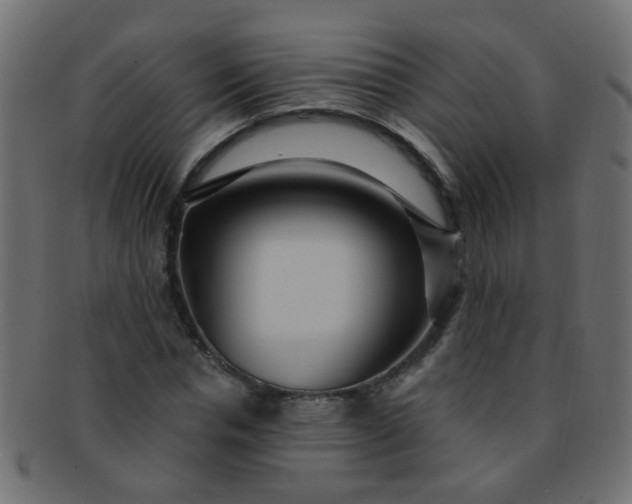 X0000091730826200709071458