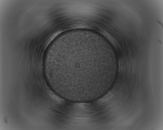 X0000091730828200709071458