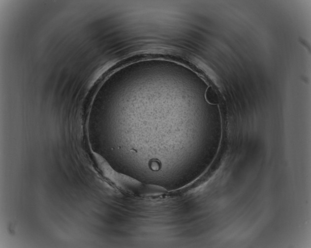 X0000091730829200709071458