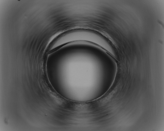 X0000091730830200709071458