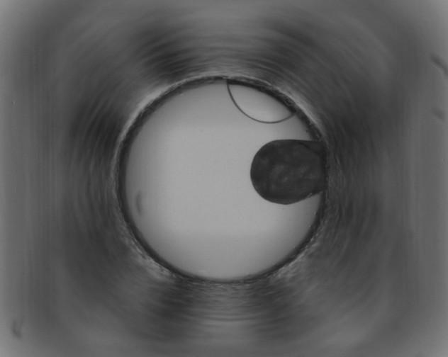 X0000091730832200709071458