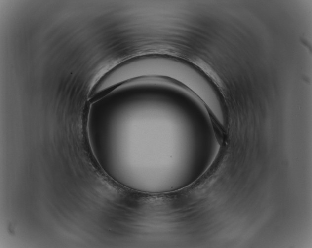 X0000091730834200709071458