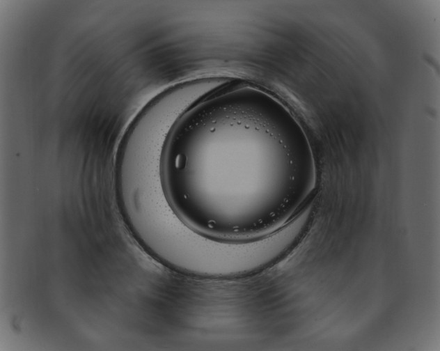 X0000091730836200709071458