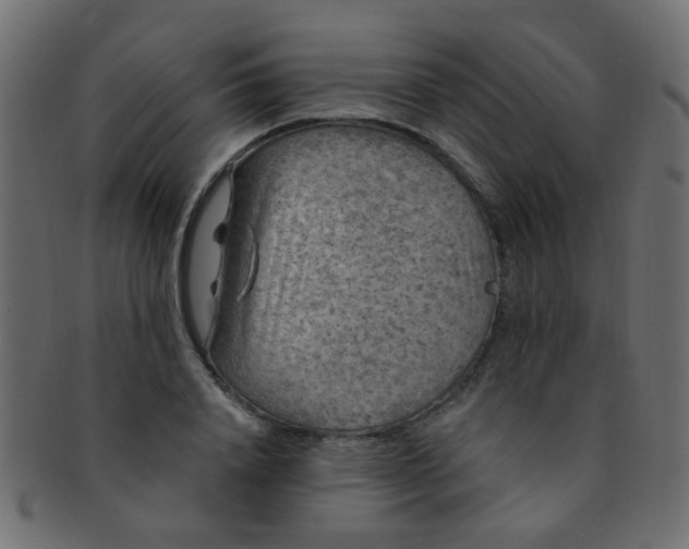 X0000091730840200709071458