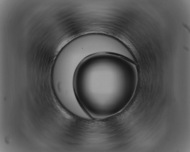 X0000091730842200709071458