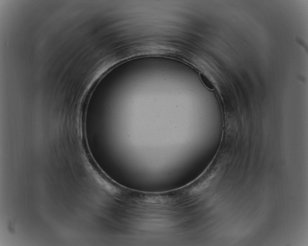 X0000091730843200709071458