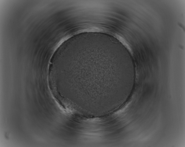 X0000091730845200709071458