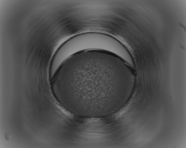 X0000091730846200709071458