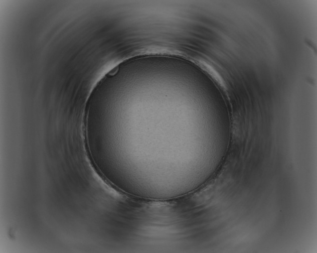 X0000091730847200709071458