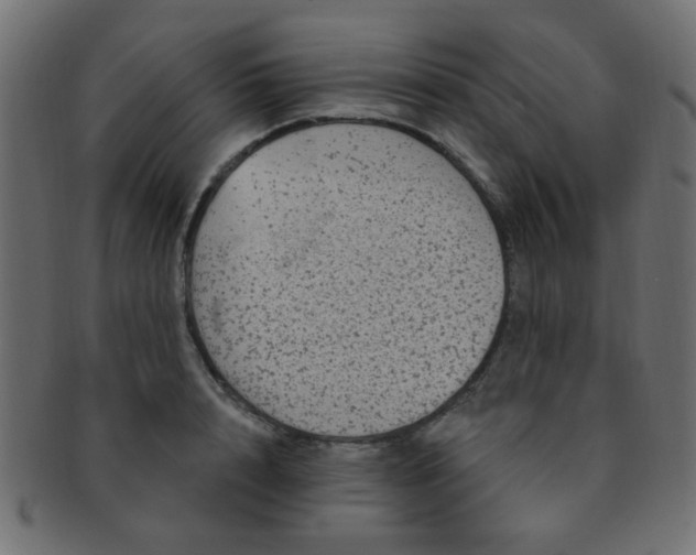 X0000091730848200709071458