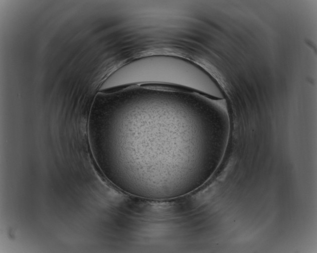 X0000091730849200709071458